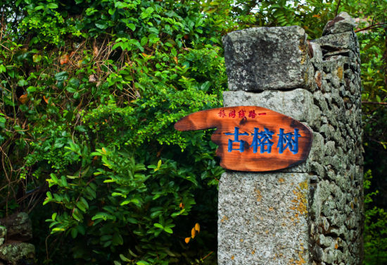 海南最美乡村 澄迈火山岩上的罗驿长寿村