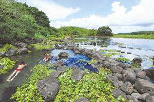 海南定安久温塘：火山岩里流出的“富硒”冷泉